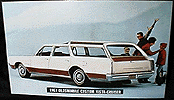 Vista Cruiser station wagon